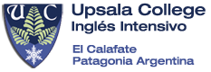 Inicio